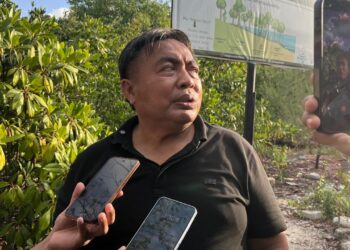 Nyoman Parta. -BALITOPIK.COM