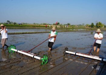 Bupati Badung I Wayan Adi Arnawa (kanan) saat uji coba metode Pertanian Modern Advanced Agriculture System. -IST