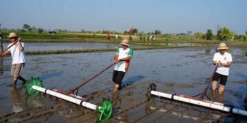Bupati Badung I Wayan Adi Arnawa (kanan) saat uji coba metode Pertanian Modern Advanced Agriculture System. -IST