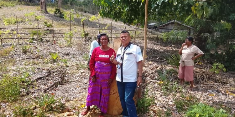 Primus Klau saat mendampingi nenek Anastasia Lotu meninjau tanah yang bersengketa. -IST