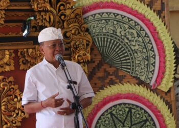 Gubernur Bali, Wayan Koster. -IST