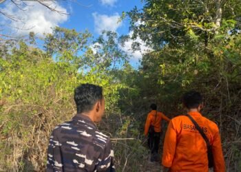 Tim SAR gabungan saat melakukan pencarian terhadap nenek yang hilang. -IST