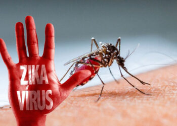 Ilustrasi Virus ZIKA