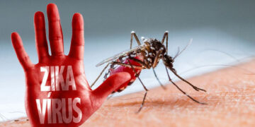 Ilustrasi Virus ZIKA