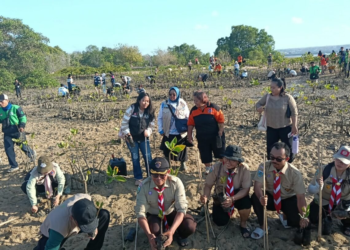Pramuka Peduli Kwarda Bali ikut berpartisipasi dalam Gerakan Bali Menanam melalui aksi penanaman mangrove di Pulau Pudut, Tanjung Benoa, Badung. -BALITOPIK.COM
