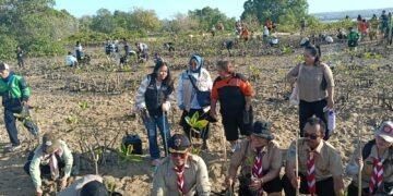 Pramuka Peduli Kwarda Bali ikut berpartisipasi dalam Gerakan Bali Menanam melalui aksi penanaman mangrove di Pulau Pudut, Tanjung Benoa, Badung. -BALITOPIK.COM