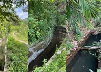 Irigasi Subak Tampuagan, Desa Peninjoan, Kecamatan Tembuku, Bangli. -IST
